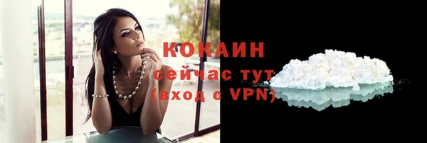 молекула духа Мегион