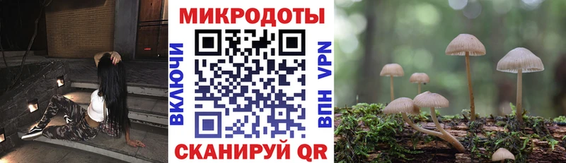mega ссылка Чапаевск Псилоцибиновые грибы GOLDEN TEACHER где найти наркотики