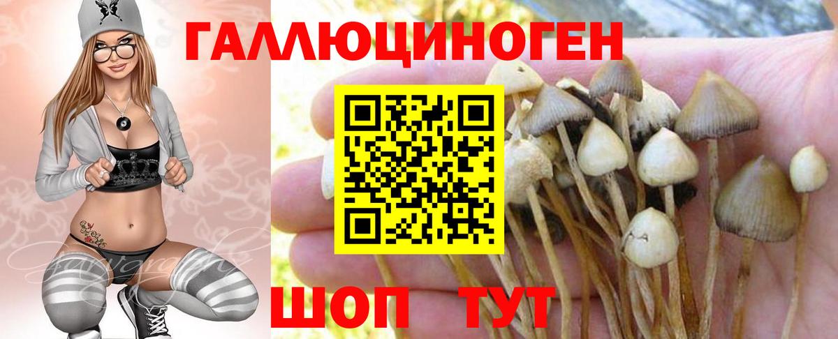 Чапаевск  Галлюциногенные грибы Psilocybe  Галлюциногенные грибы MAGIC MUSHROOMS  Вход с VPN 