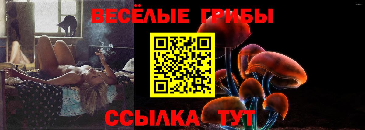 Псилоцибиновые грибы MAGIC MUSHROOMS Чапаевск