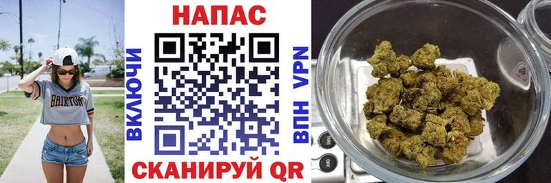 где можно купить Чапаевск гидра ссылки Конопля сатива